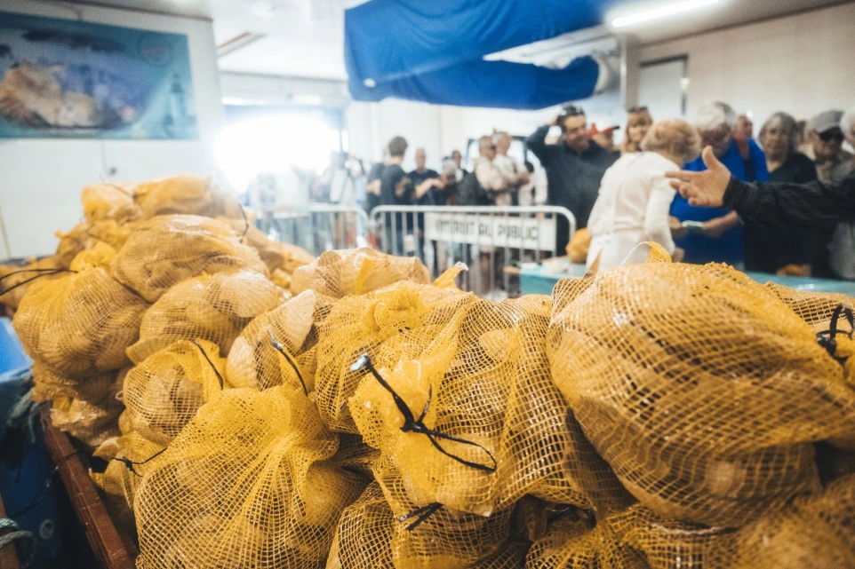 Vente de coquilles Saint-Jacques
